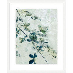 Wendover Spa Flowers 1