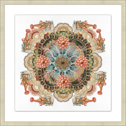 Wendover Sealife Composition 2