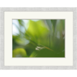 Wendover Nature Soft 2 Wendover Nature Soft 2
