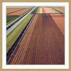 Wendover Geometric Rows 1 Wendover Geometric Rows 1