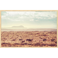 Wendover Summer Horses