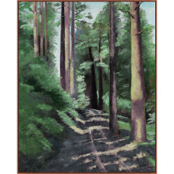 Wendover Redwoods Path Wendover Redwoods Path
