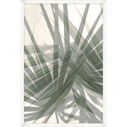 Wendover Palm to Shapes 2 Wendover Palm to Shapes 2