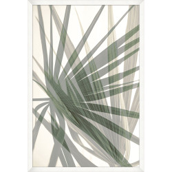 Wendover Palm to Shapes 1 Wendover Palm to Shapes 1