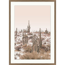 Wendover Cozy Cacti
