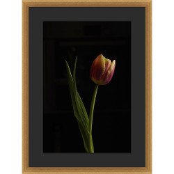 Wendover Floral Portrait 2