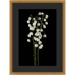 Wendover Floral Portrait 1