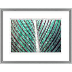 Wendover Macro Leaf 1