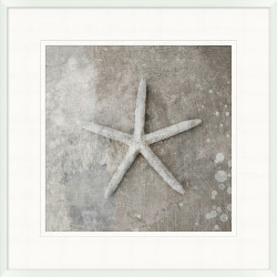 Wendover Distressed Sea Shell 4