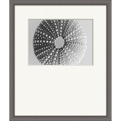 Wendover Shell Portrait 4