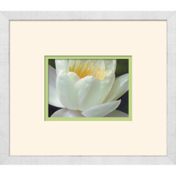 Wendover Fresh Cut 8