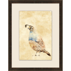 Wendover You've Got Quail 1