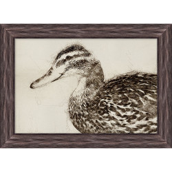 Wendover Sepia Duck Study 5