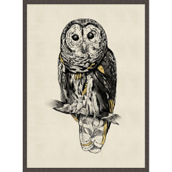 Wendover Alpine Owl 1 Wendover Alpine Owl 1