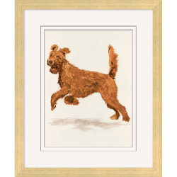 Wendover Rusty - WFK0128