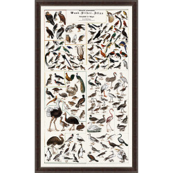 Wendover Bird Chart Wendover Bird Chart