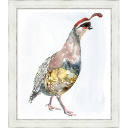 Wendover Bird of the Hunt 5