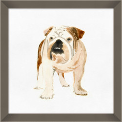 Wendover Painted Pup 2 Wendover Painted Pup 2