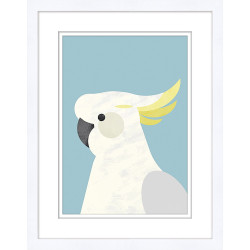 Wendover Blue Cockatoo