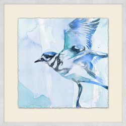 Wendover Blue Bird 1 - WNT1201