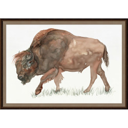 Wendover Oversized Range Buffalo 1
