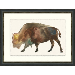 Wendover Buffalo Impression 2 Wendover Buffalo Impression 2
