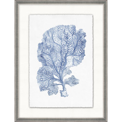 Wendover Coral Reef Collection 8