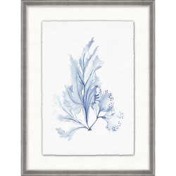 Wendover Coral Reef Collection 7