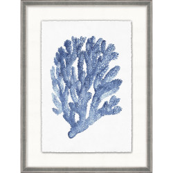 Wendover Coral Reef Collection 2