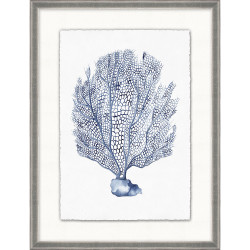 Wendover Coral Reef Collection 1