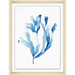 Wendover Seagrass Bouquet 8