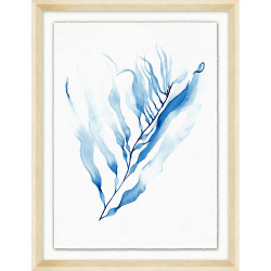 Wendover Seagrass Bouquet 5