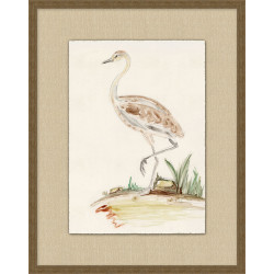 Wendover Shore Birds 1