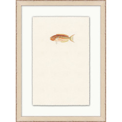 Wendover Petite Fish 7