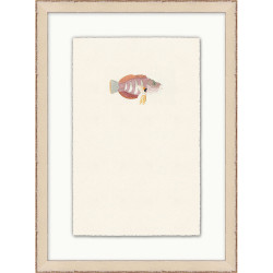 Wendover Petite Fish 6