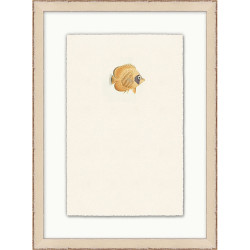 Wendover Petite Fish 5