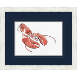 Wendover Crustacean Color 4 Wendover Crustacean Color 4