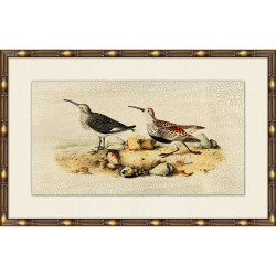 Wendover Coastline Audubon 3