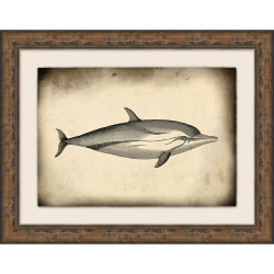 Wendover Antique Sea Collection 3