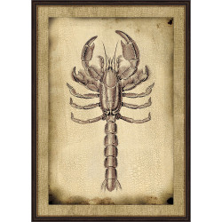 Wendover Antique Sea Collection 1