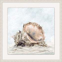 Wendover Shell in the Water 1 Wendover Shell in the Water 1