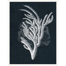 Wendover Coral Print 2