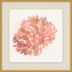 Wendover Blush Coral 5 Wendover Blush Coral 5