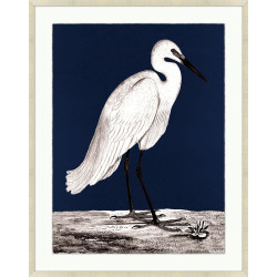 Wendover Indigo Egret 1 Wendover Indigo Egret 1