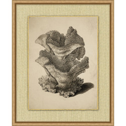 Wendover Sepia Sealife 7