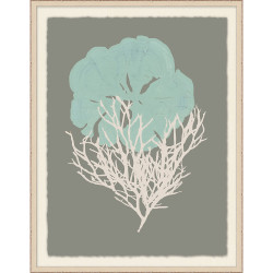 Wendover Pastel Coral Assortment 4