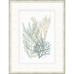 Wendover Lowcountry Sea Fan 3