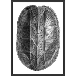 Wendover Turtle Shell Metallic 1