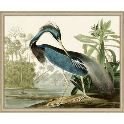 Wendover Audubons Blue Heron 1 Wendover Audubons Blue Heron 1
