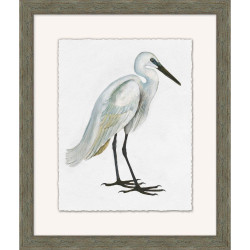 Wendover Wetland Bird Study 6 Wendover Wetland Bird Study 6